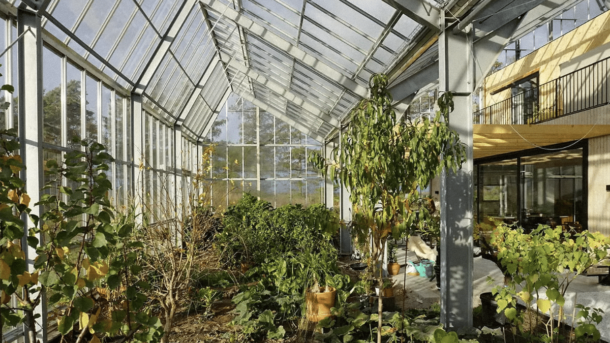 La maison sous cloche : une innovation durable pour l’habitat de demain