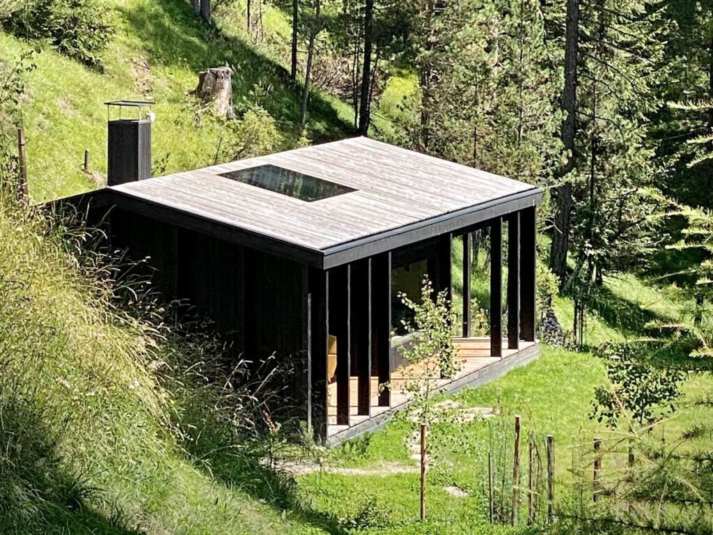 Maison en bois marron au milieu de la forêt