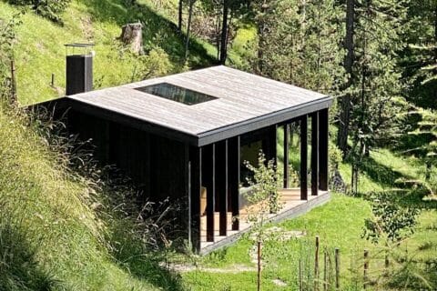 Maison en bois marron au milieu de la forêt