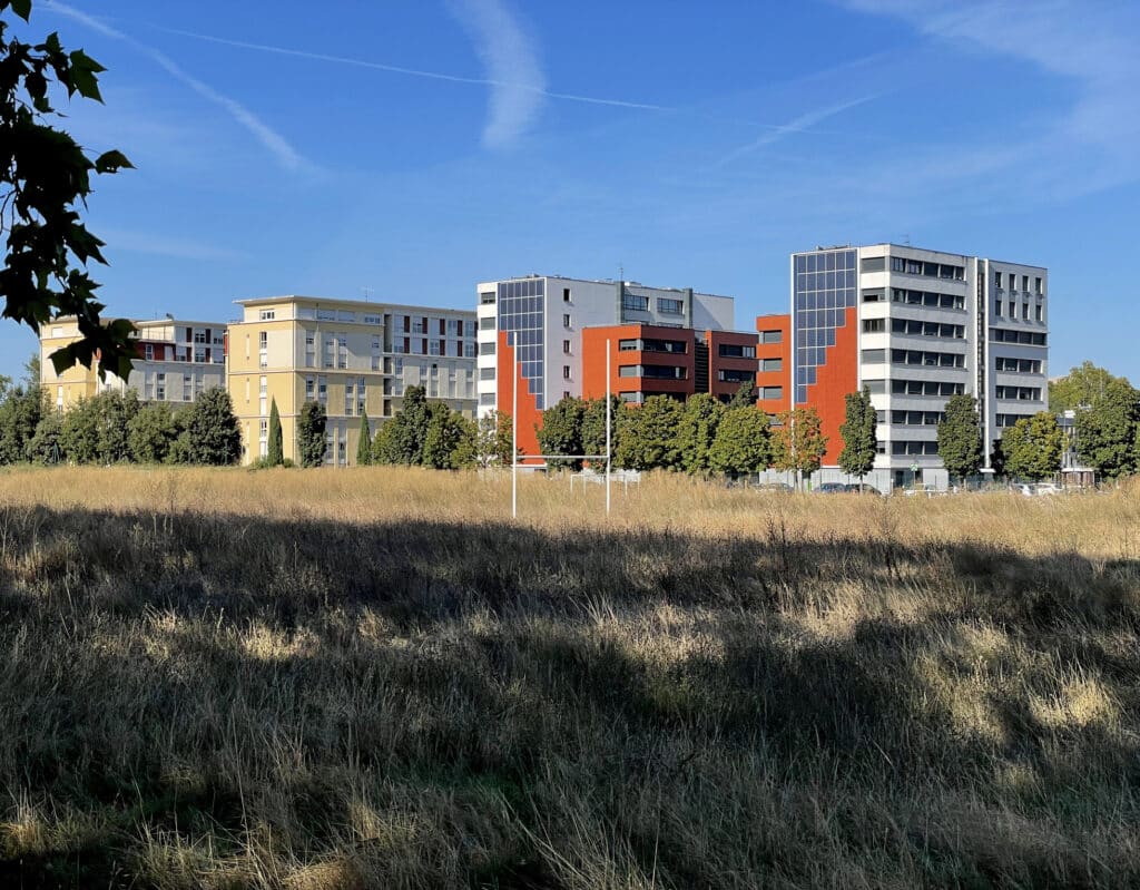 Terrain de rugby envahi par la végétation à Toulouse