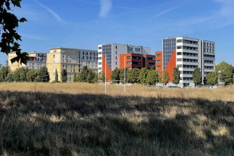 Terrain de rugby envahi par la végétation à Toulouse