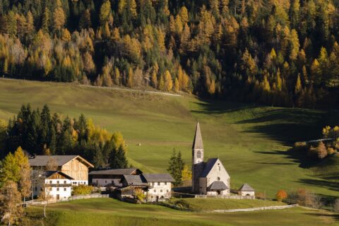 Initiative durable à La Pesse : un hameau léger pour contrer la crise immobilière