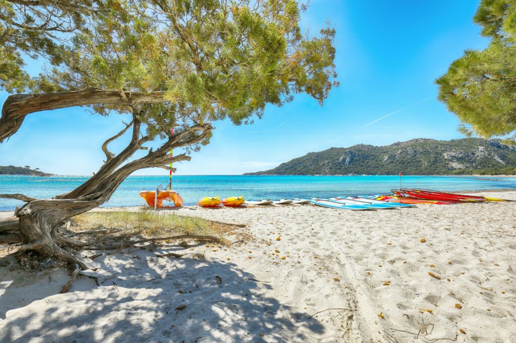 France 2024 : plages corses et azuréennes à l'honneur