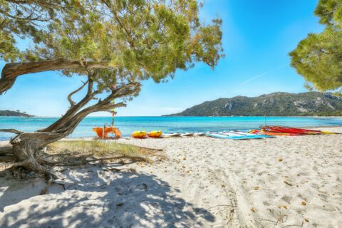 France 2024 : plages corses et azuréennes à l'honneur