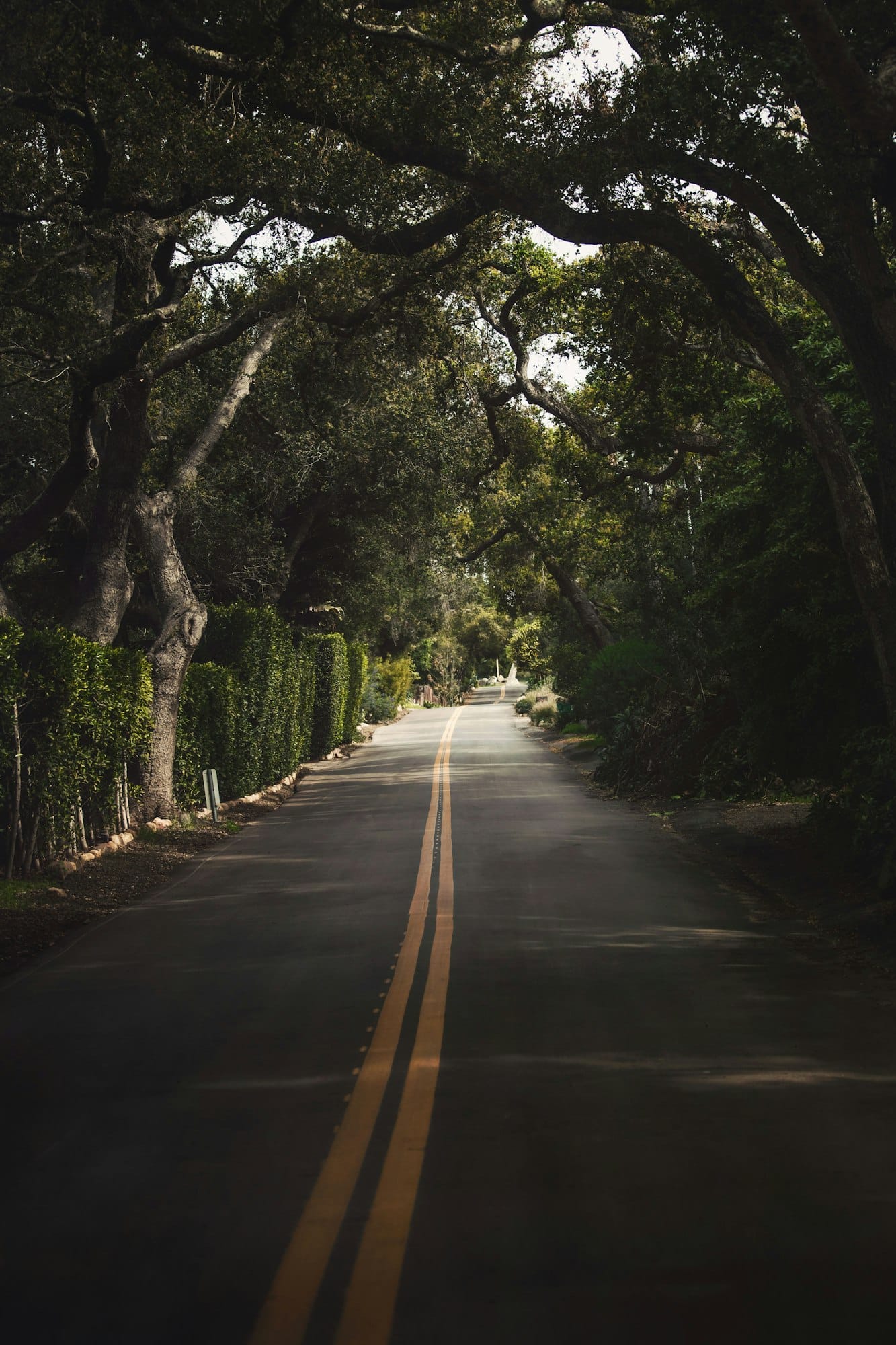 Montecito