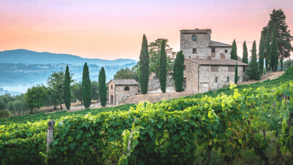 Derniers jours de Bernard Pivot : un adieu à Quincié-en-Beaujolais