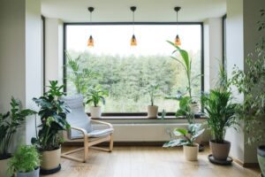 Rafraîchir sa maison naturellement : 5 plantes incontournables