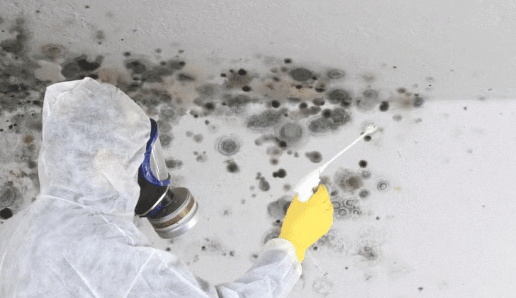 Scandale à Nantes : l'histoire choquante de Marie et son appartement empoisonné !