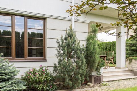 L'avenir de la maison individuelle en France face aux défis urbains