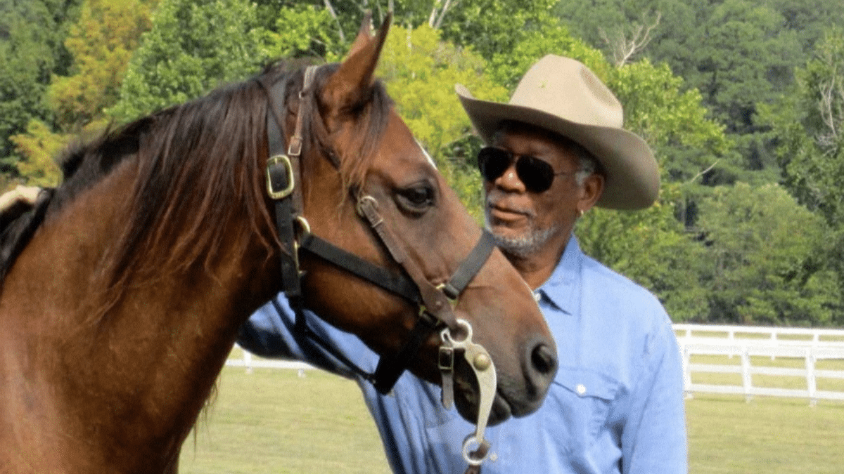 ranch-morgan-freeman-refuge-abeilles2