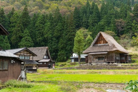 Maisons abandonnées au Japon : un marché émergent pour les investisseurs