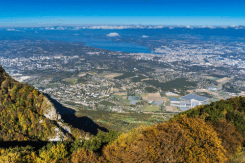 Crise immobilière dans le Genevois : quelles solutions ?