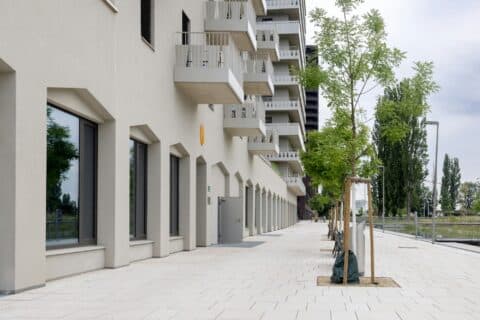 Marché immobilier commercial : les tendances à suivre en 2024