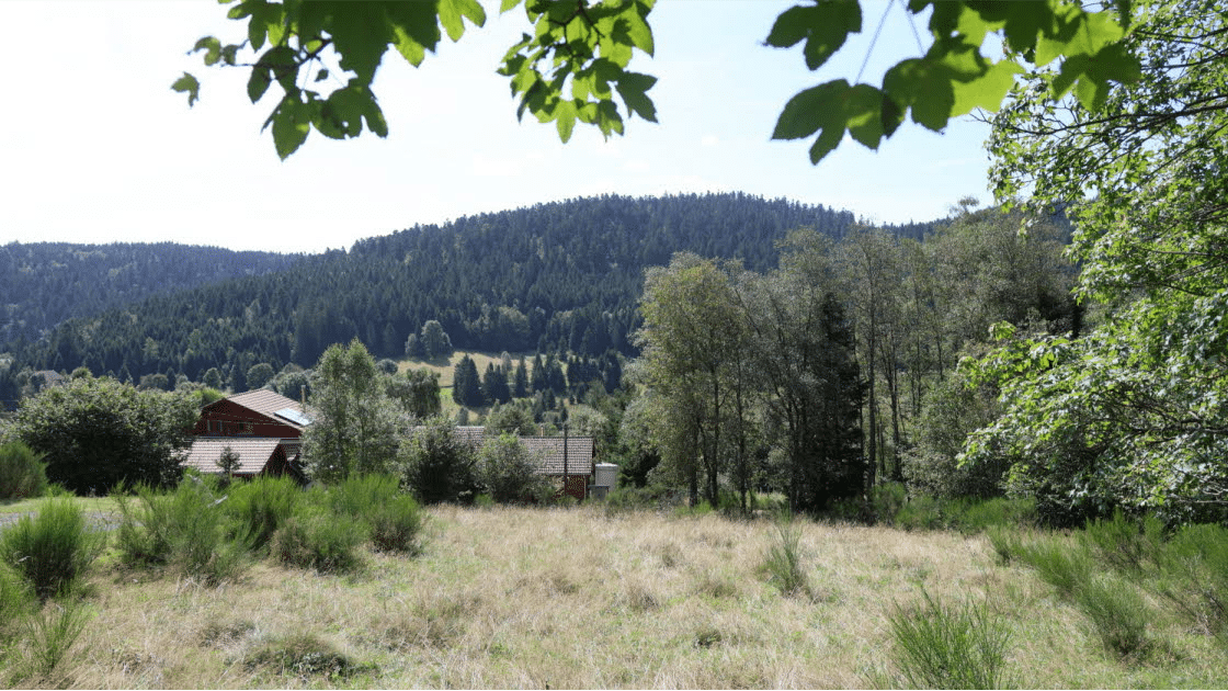 projet-chalet-loeb-vosges1
