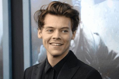 Découvrez les résidences luxueuses d'Harry Styles à travers le monde