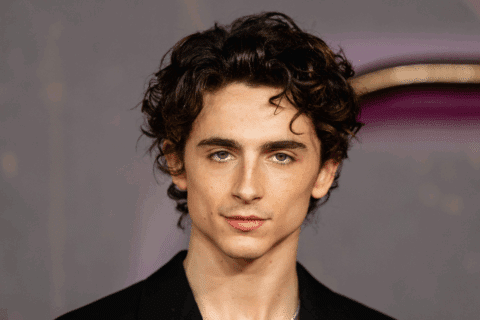 Découvrez la nouvelle demeure de Timothée Chalamet à Beverly Hills