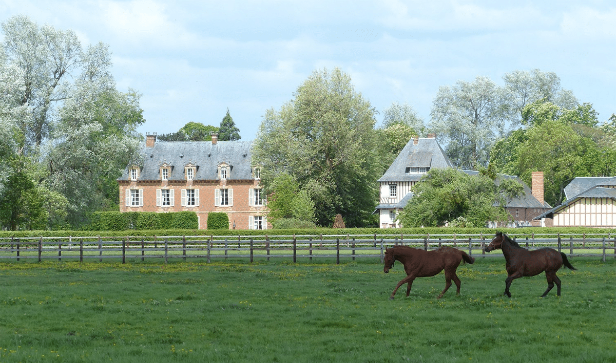 investir-haras-tony-parker2