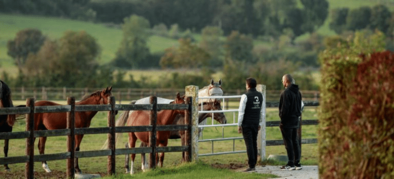 investir-haras-tony-parker3