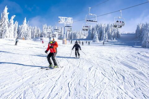 Saison 2024-2025 : comment les stations de ski françaises se réinventent ?