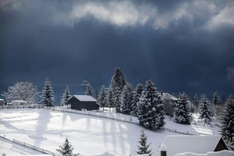 Hébergements écoresponsables : vivez un séjour authentique à la montagne
