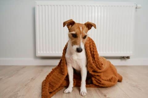 Chauffage collectif : 4 astuces simples pour réduire vos factures et rester au chaud cet hiver