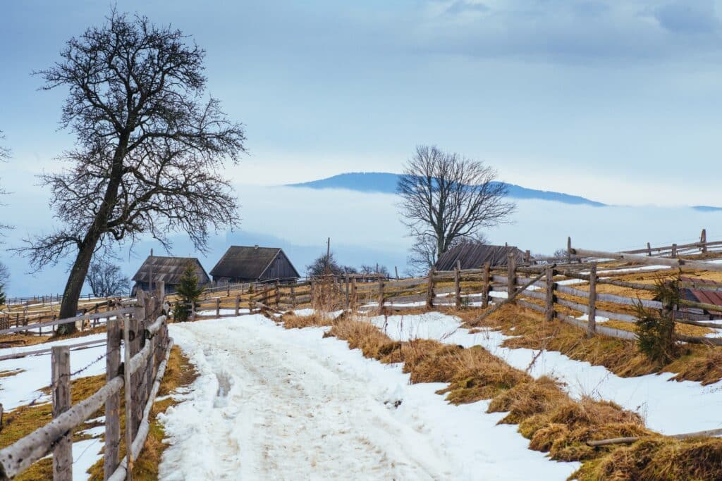 Comment rendre vos vacances à la montagne plus respectueuses de l'environnement