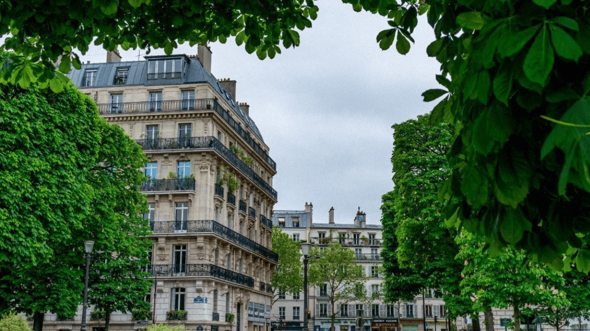 appartement-thomas-dutronc-paris1