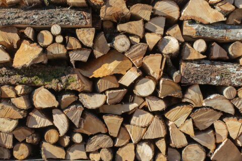 Feuillus ou résineux ? Ce type de bois qui booste la chaleur et réduit votre facture de chauffage