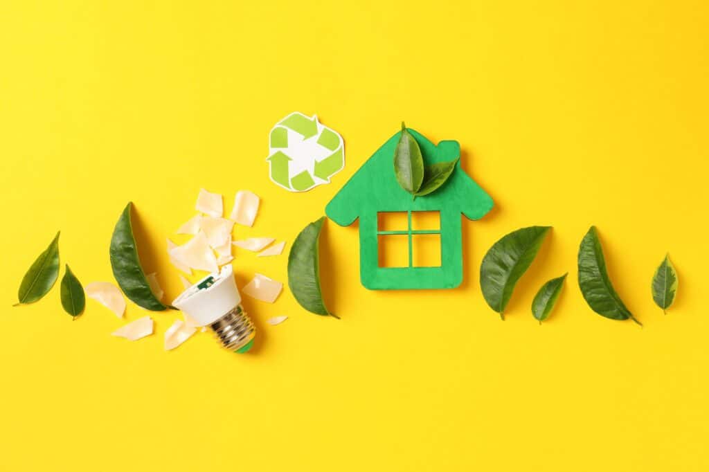 L’électricité verte pour votre maison est-elle vraiment écologique ? Voici la vérité