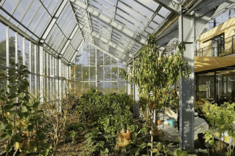 La maison sous cloche : une innovation durable pour l’habitat de demain