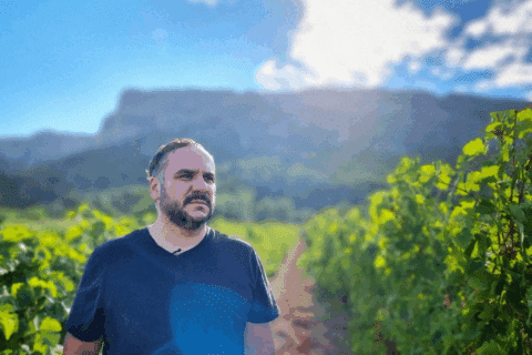 François-Xavier Demaison : de comédien à vigneron accompli