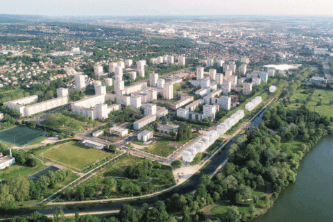 Abandon du projet immobilier à Dijon : comment 100 platanes sont devenus le symbole d'une ville plus verte