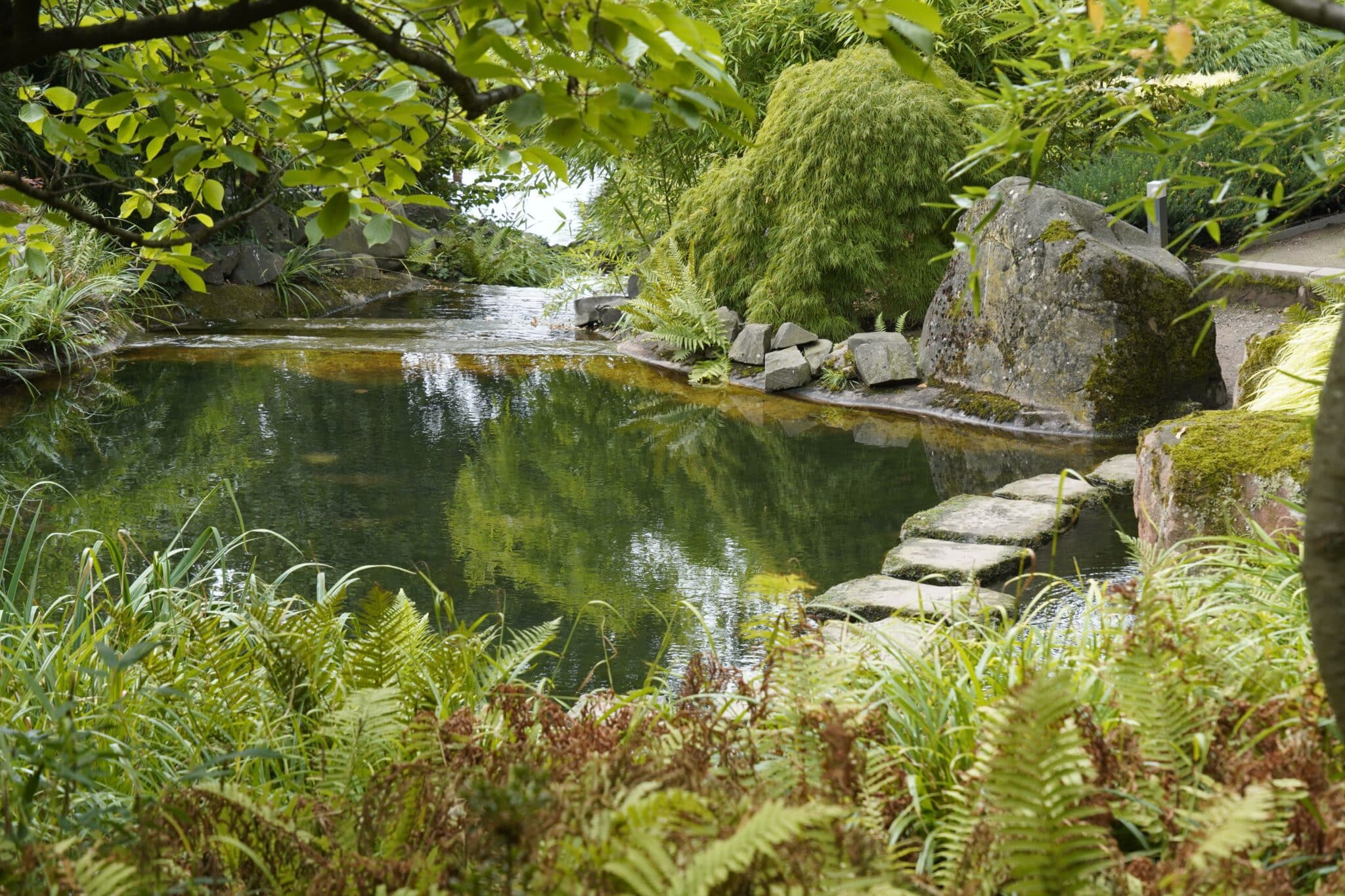 Comment créer un écrin de nature et de sérénité autour d’un bassin de jardin ? 