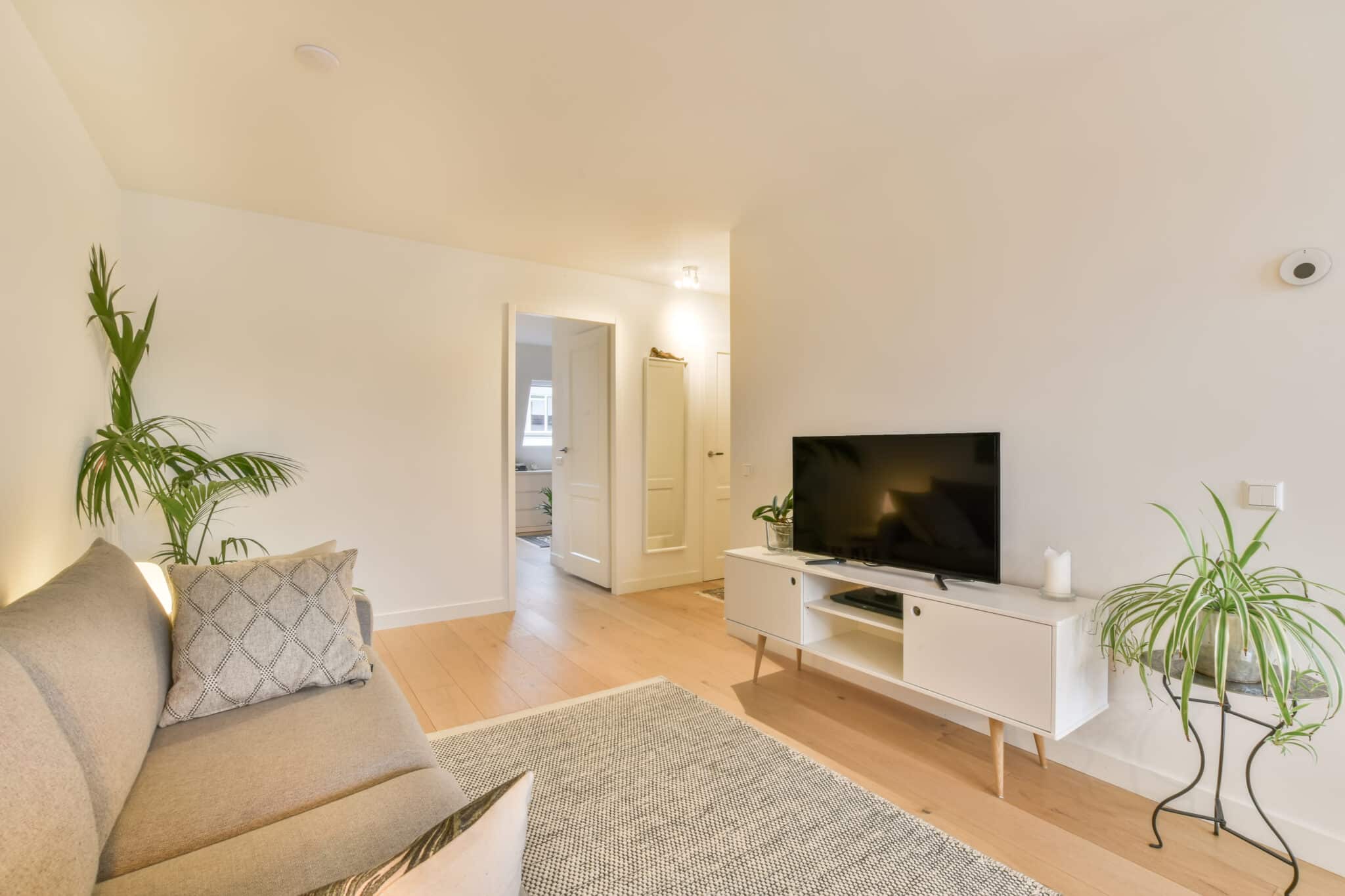 Réussir l’aménagement du coin télévision pour valoriser son intérieur