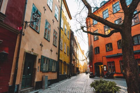 Immobilier 2026 : le marché repart mais un facteur peut tout faire chuter