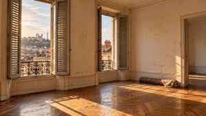 Lyon paie les propriétaires de ses 10 000 logements vides